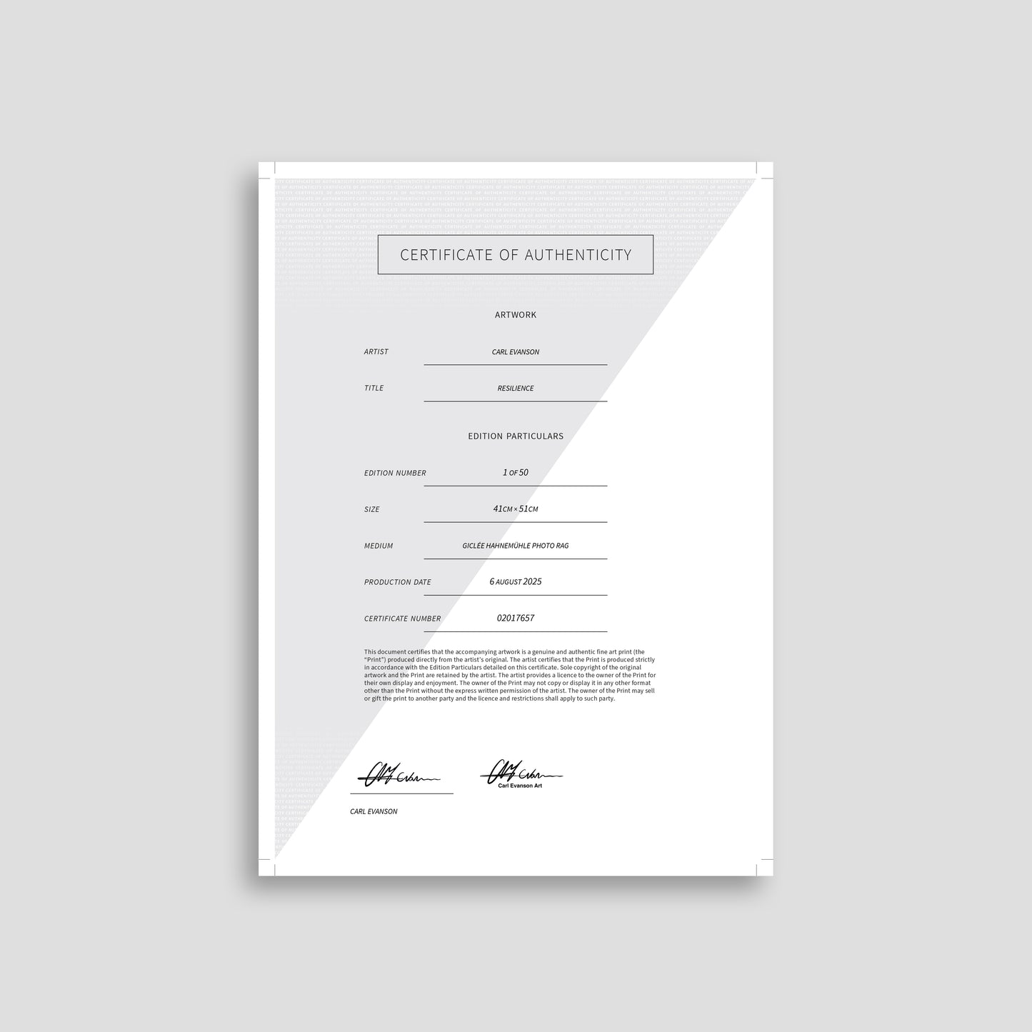 Resilience Print